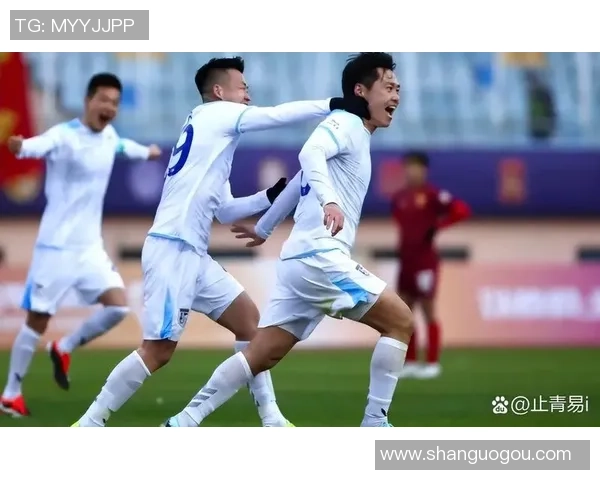 鲁能与江苏的中超对决精彩回顾与战术分析